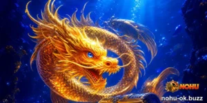 NOHU | mang nhà cái - hình ảnh - nohu-ok.buzz